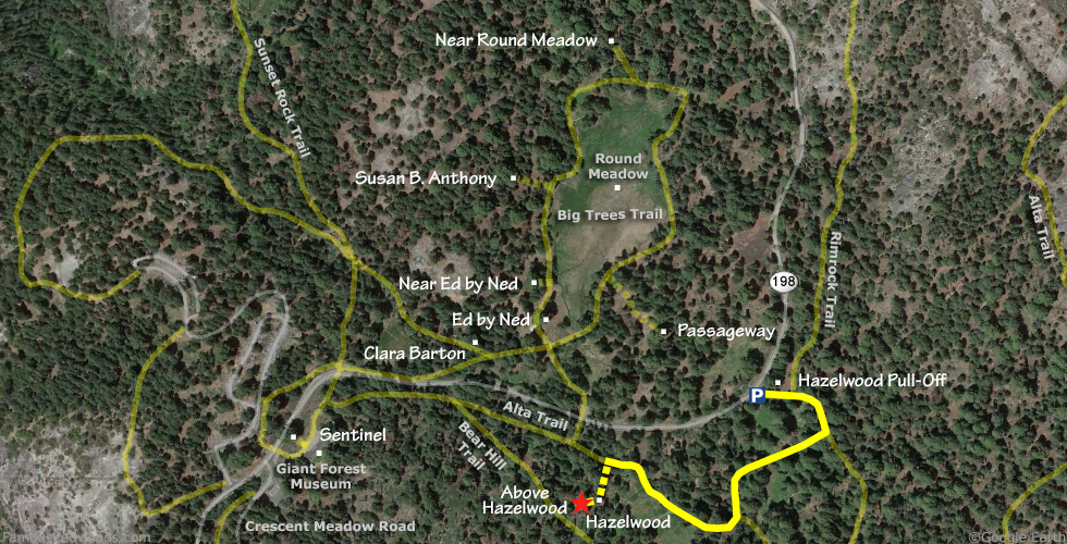 Above Hazelwood Tree Hike Map