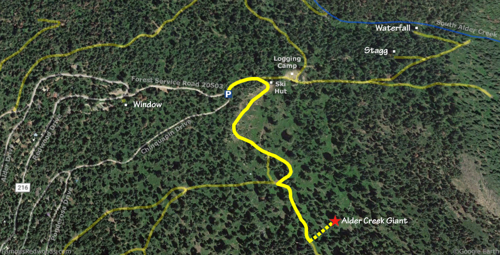 Alder Creek Giant Tree Hike Map