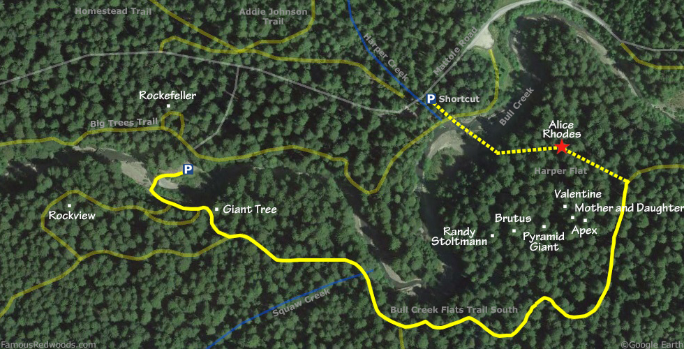 Alice Rhodes Tree Hike Map