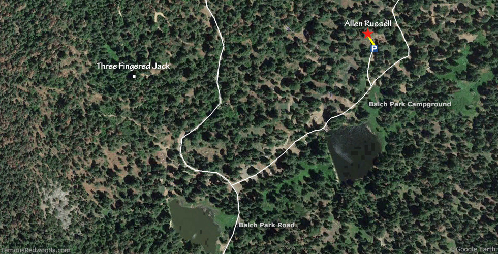Allen Russell Tree Hike Map