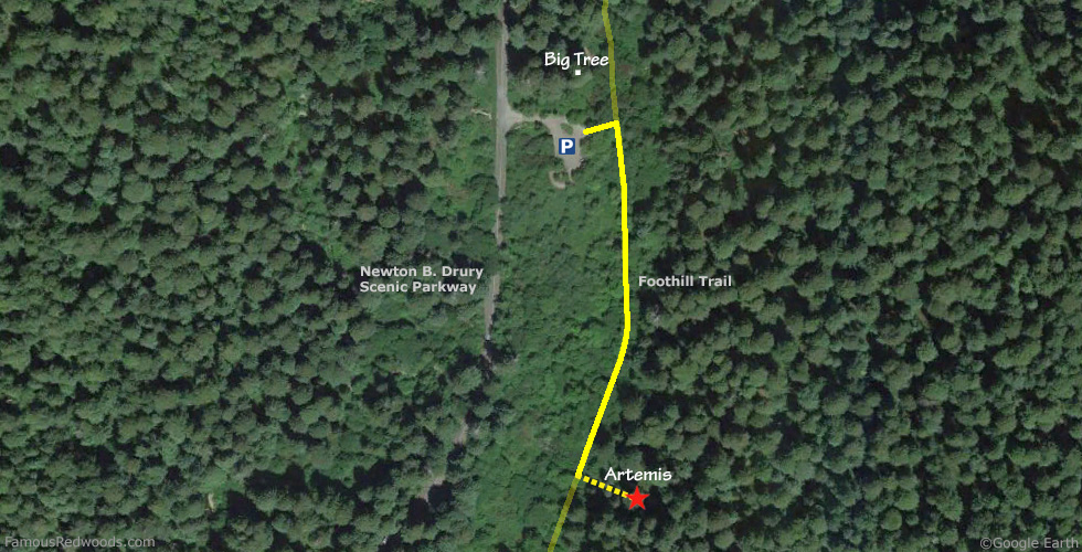 Artemis Tree Hike Map
