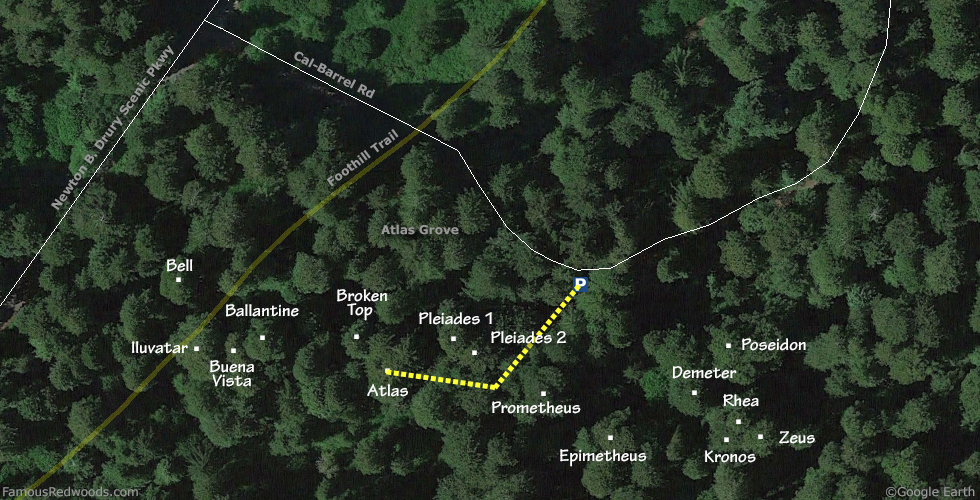 Atlas Tree Hike Map