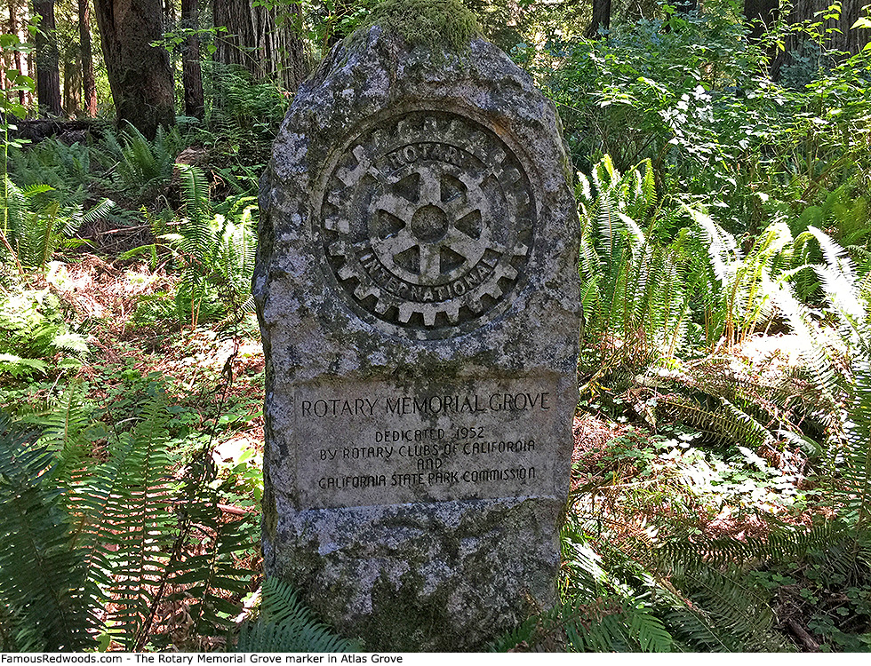 Atlas Grove - Rotary Memorial Grove marker