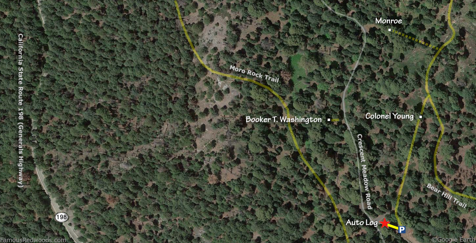 Auto Log Tree Hike Map