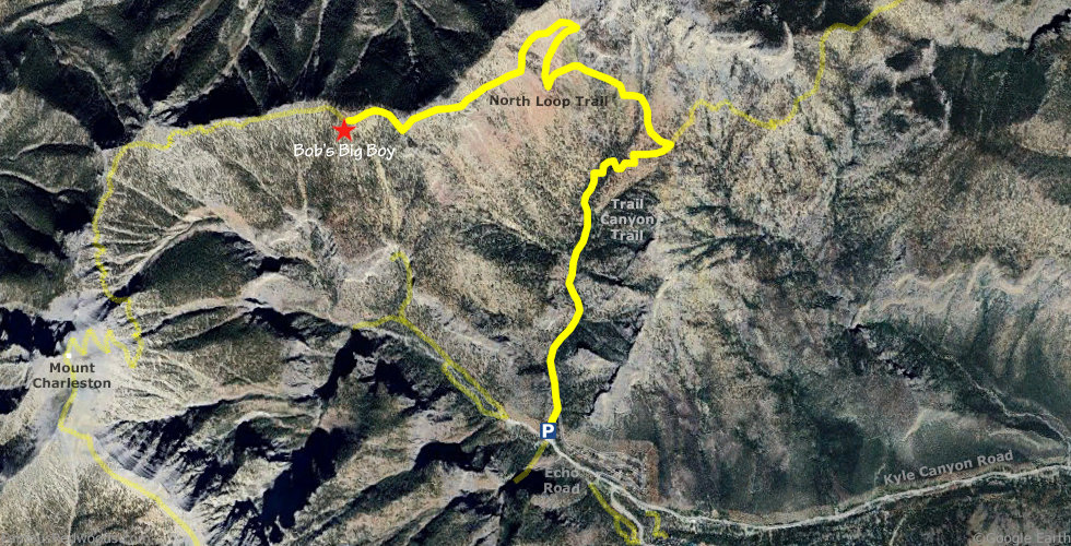 Bob's Big Boy Tree Hike Map