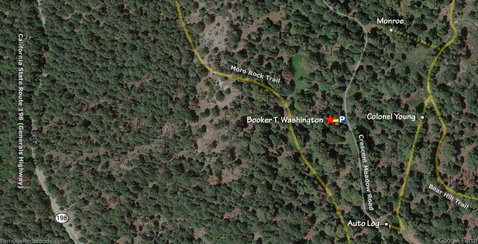 Booker T. Washington Tree Hike Map