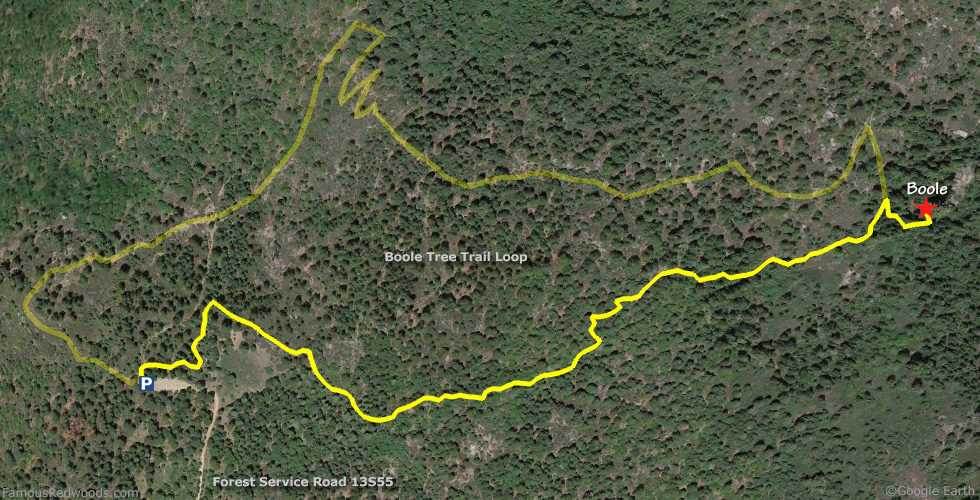Boole Tree Hike Map