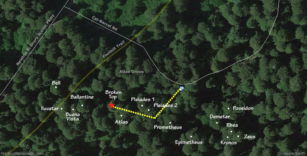 Broken Top Tree Hike Map