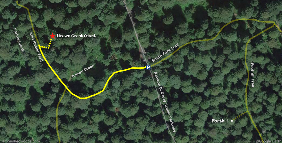 Brown Creek Giant Tree Hike Map