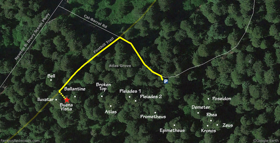 Buena Vista Tree Hike Map