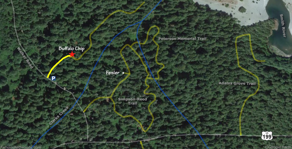 Buffalo Chip Tree Hike Map