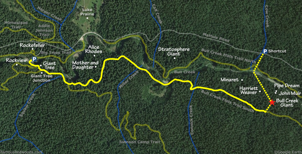 Bull Creek Giant Tree Hike Map