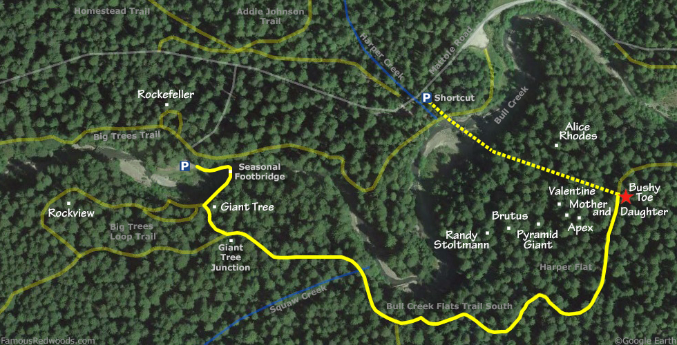 Bushy Toe Tree Hike Map