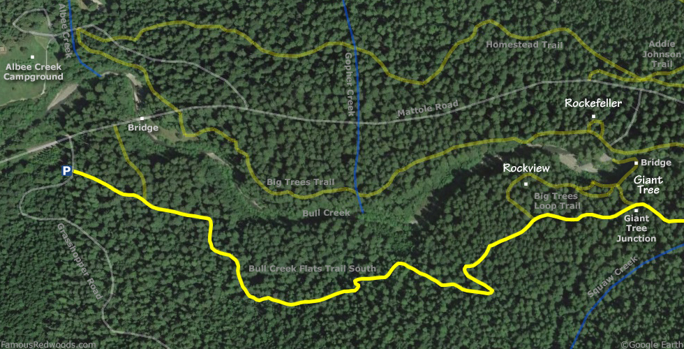Bushy Toe Tree Alternate Hike Map