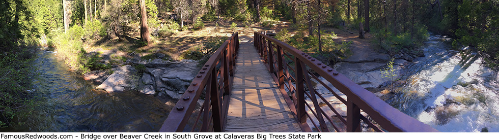Calaveras Big Trees State Park - Bridge Over Beaver Creek