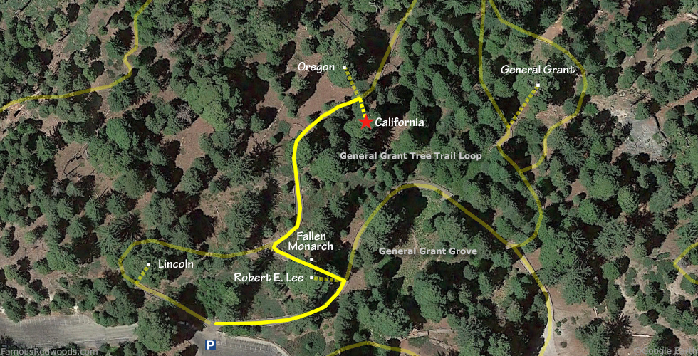 California Tree Hike Map