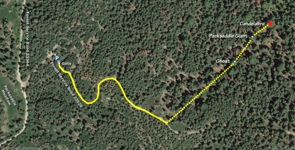 Candelabra Tree Hike Map
