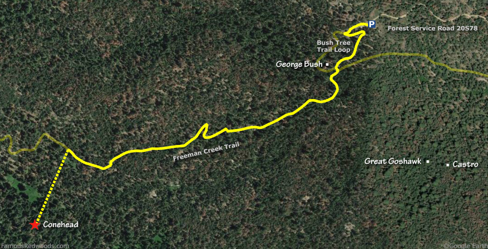 Conehead Tree Hike Map