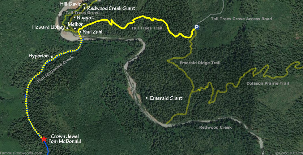 Crown Jewel Tree Hike Map