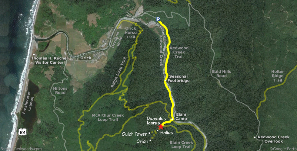 Daedalus Tree Hike Map