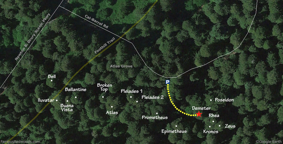 Demeter Tree Hike Map