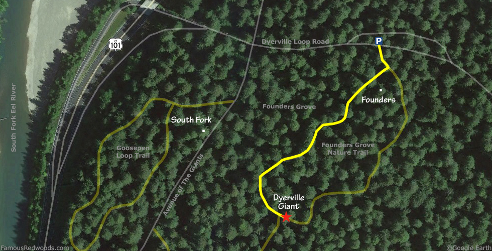 Dyerville Giant Tree Hike Map