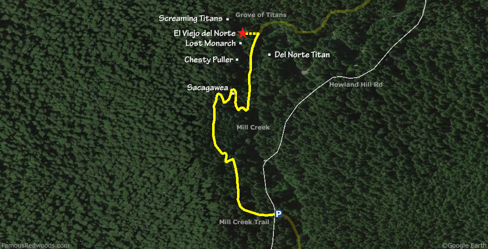 El Viejo del Norte Tree Hike Map
