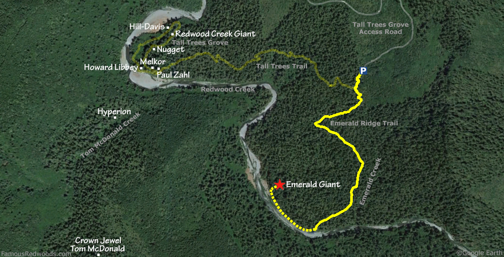 Emerald Giant Tree Hike Map