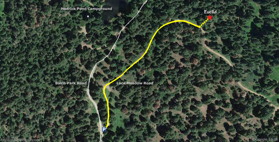 Euclid Tree Hike Map
