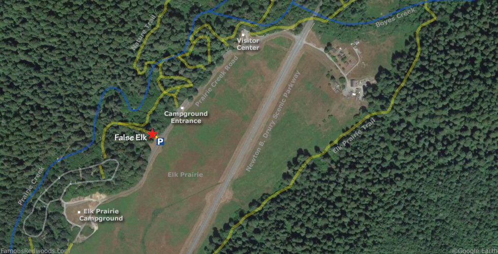 False Elk Tree Hike Map