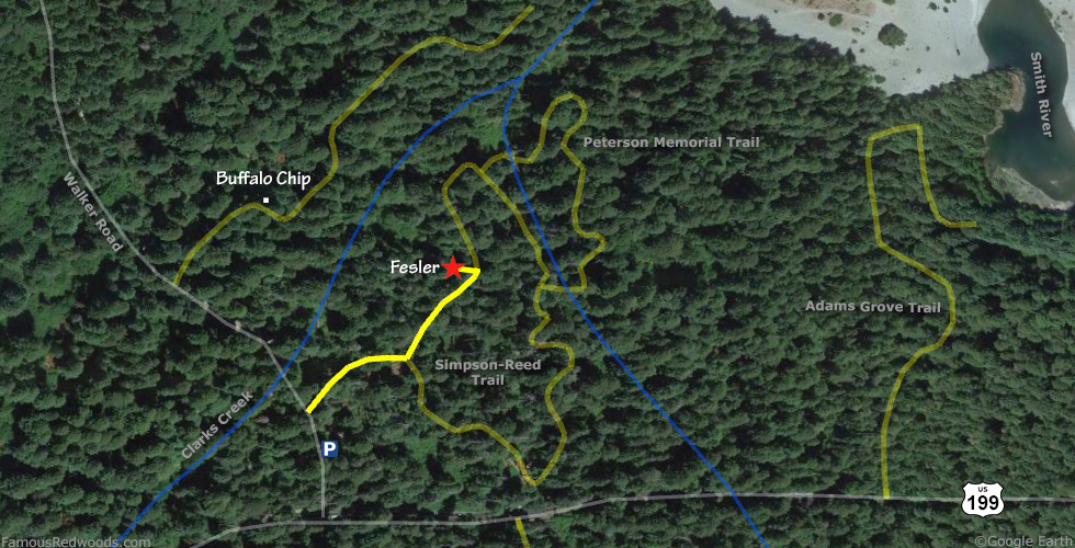 Fesler Tree Hike Map