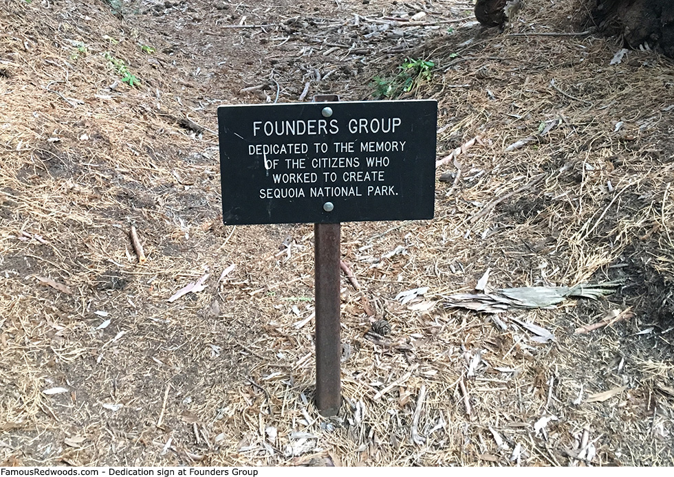 Founders Group Trees