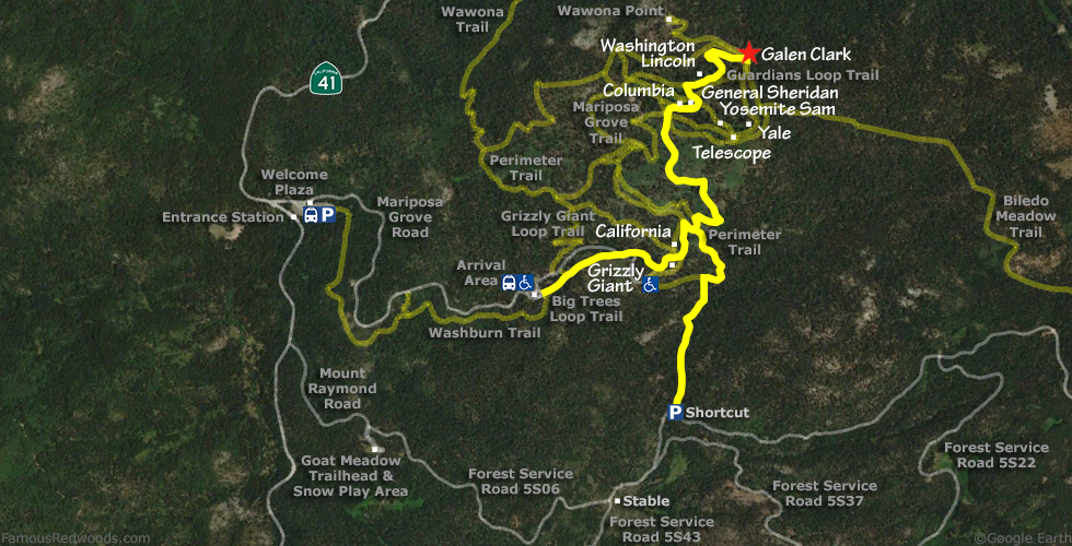 Galen Clark Tree Hike Map