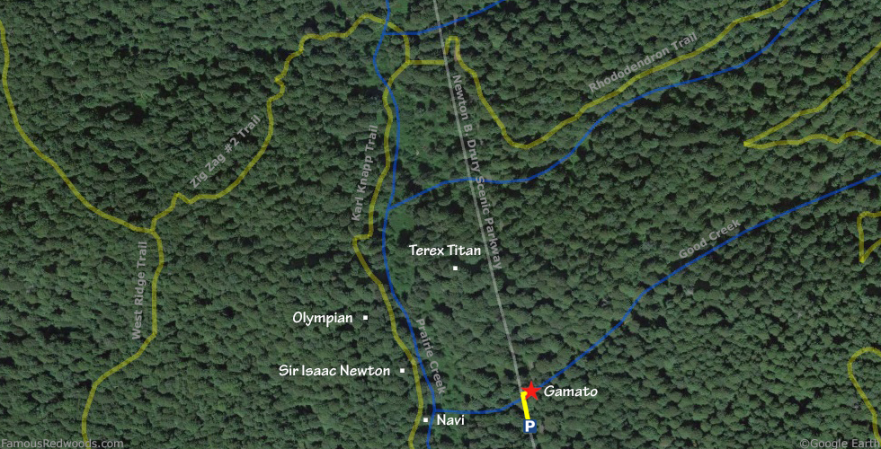 Gamato Tree Hike Map