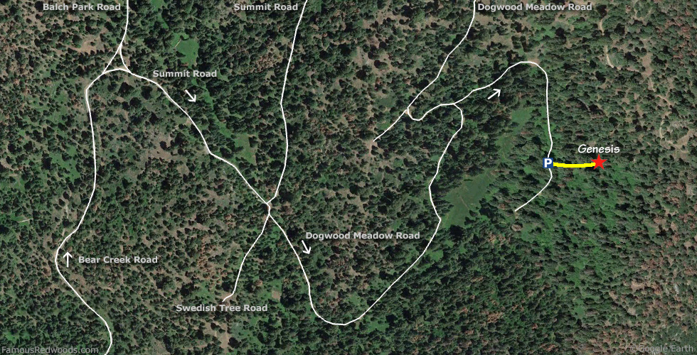 Genesis Tree Hike Map