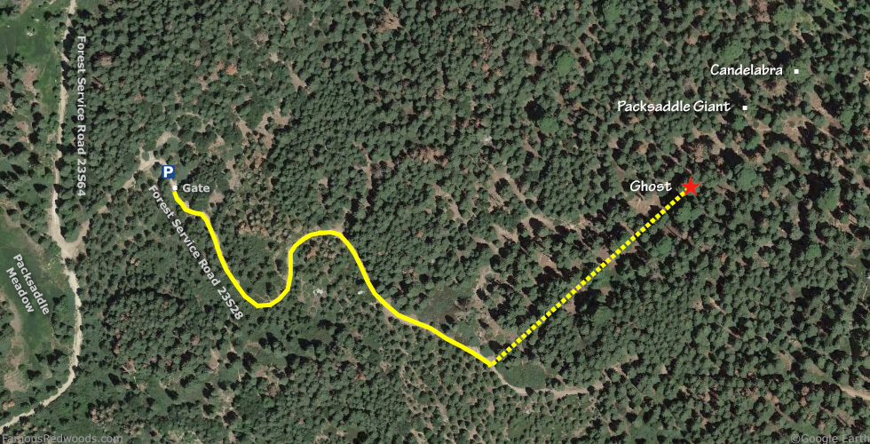 Ghost Tree Hike Map