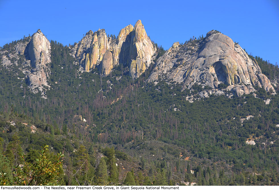 Giant Sequoia National Monument - The Needles