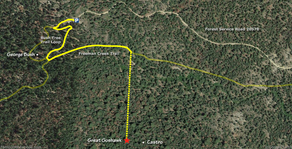 Great Goshawk Tree Hike Map