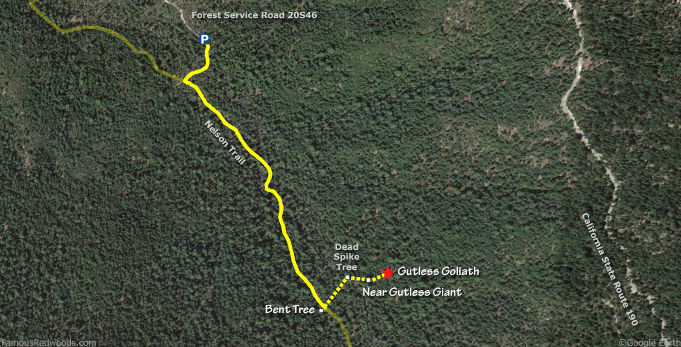 Gutless Goliath Tree Hike Map