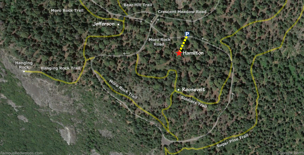 Hamilton Tree Hike Map