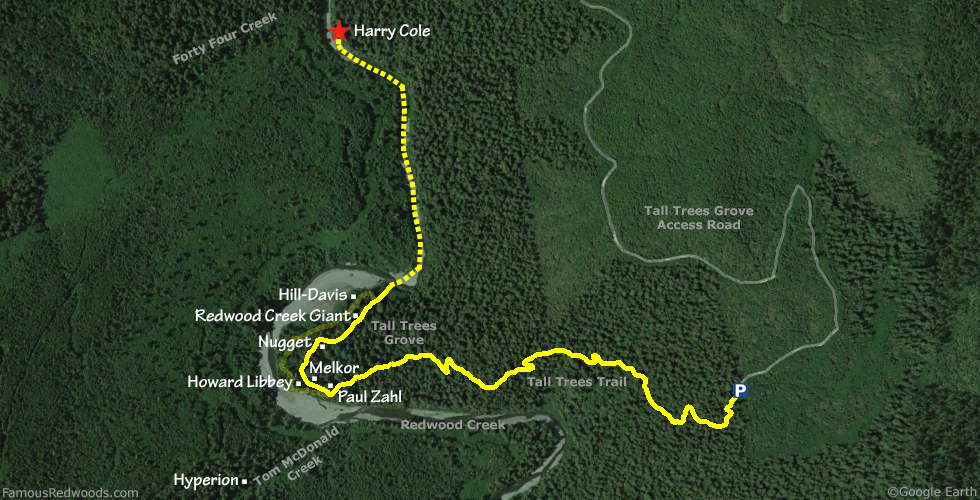 Harry Cole Tree Hike Map