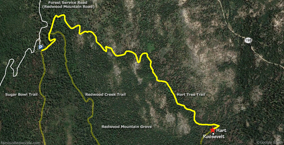 Hart Tree Hike Map