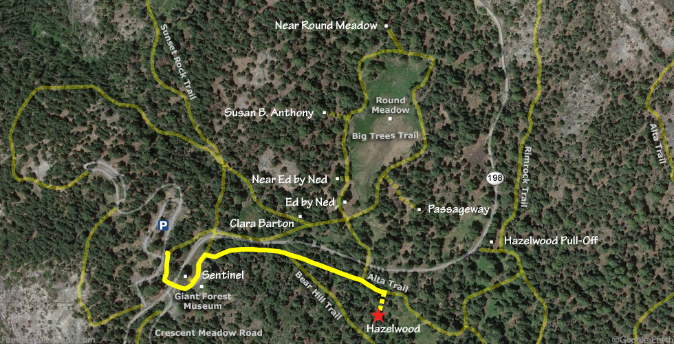 Hazelwood Tree Hike Map