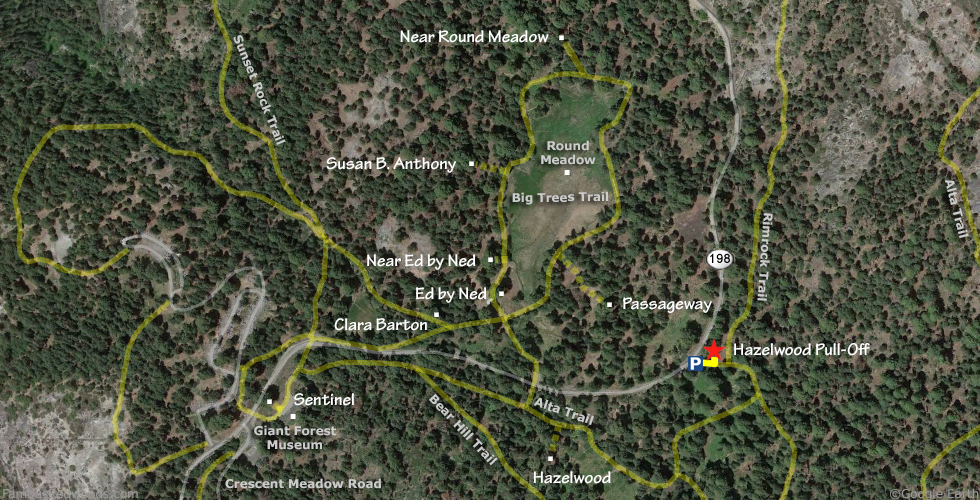 Hazelwood Pull-Off Tree Hike Map