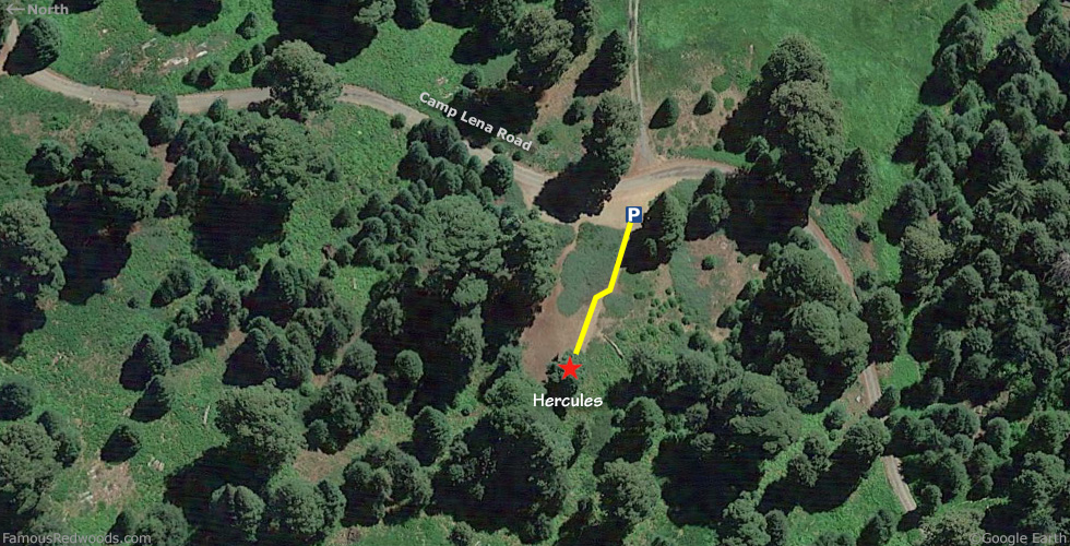 Hercules Tree Hike Map