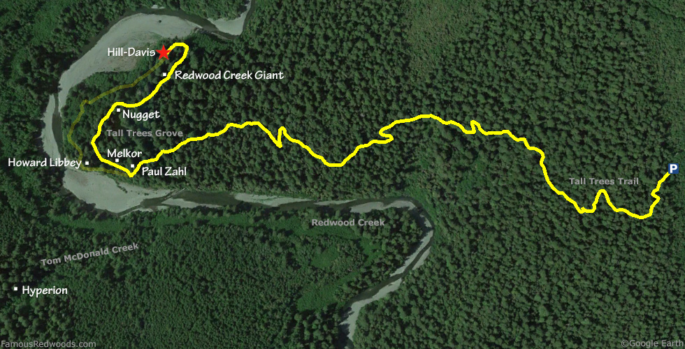 Hill-Davis Tree Hike Map