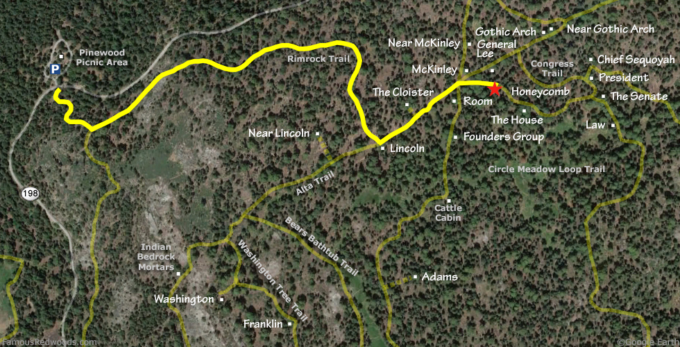 Honeycomb Tree Hike Map