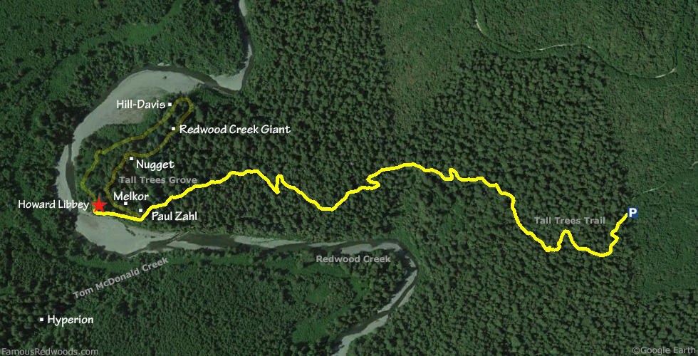 Howard Libbey Tree Hike Map