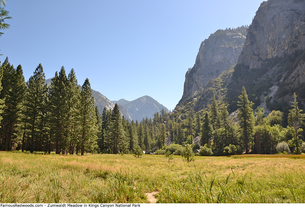 Kings Canyon National Park - Zumwaldt Meadow