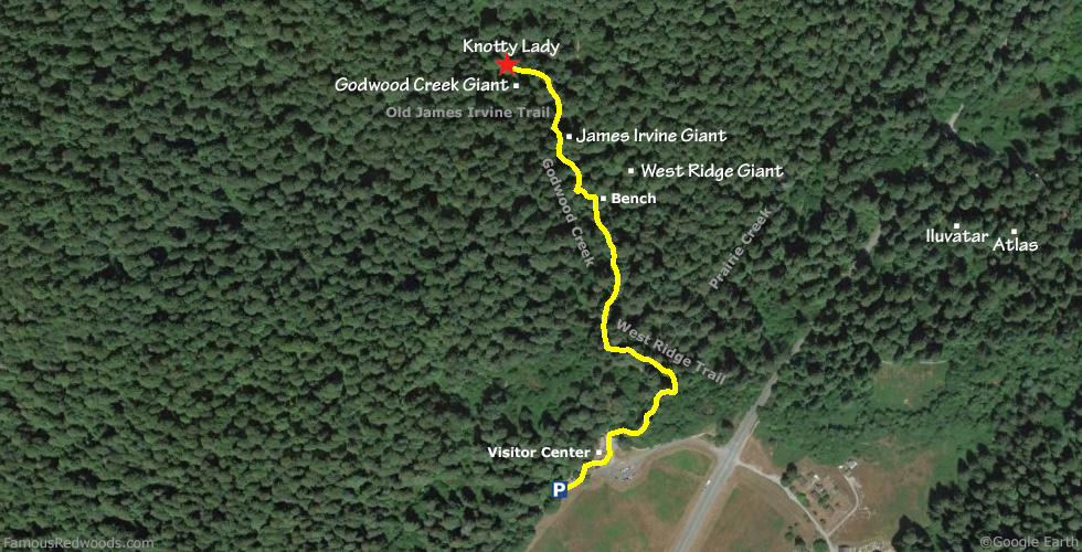 Knotty Lady Tree Hike Map